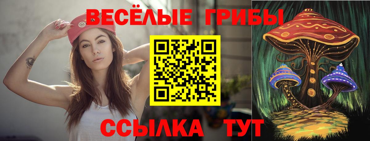 Псилоцибиновые грибы MAGIC MUSHROOMS  Вход с VPN  Екатеринбург  Галлюциногенные грибы Cubensis 